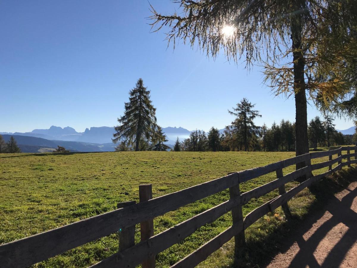 Beckenbinder Apartement Schlern 圣热内西奥阿特斯诺 外观 照片